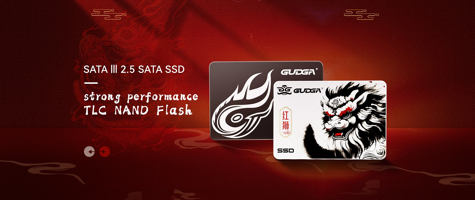 Kvalitet 2.5 SATA SSD Engros producent